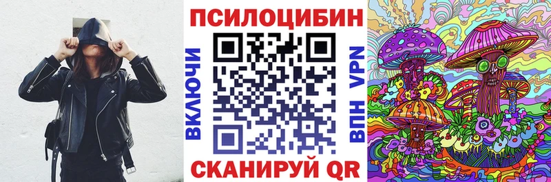 как найти закладки  Абакан  Псилоцибиновые грибы GOLDEN TEACHER 